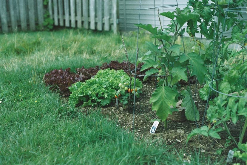 Jardinier au travail